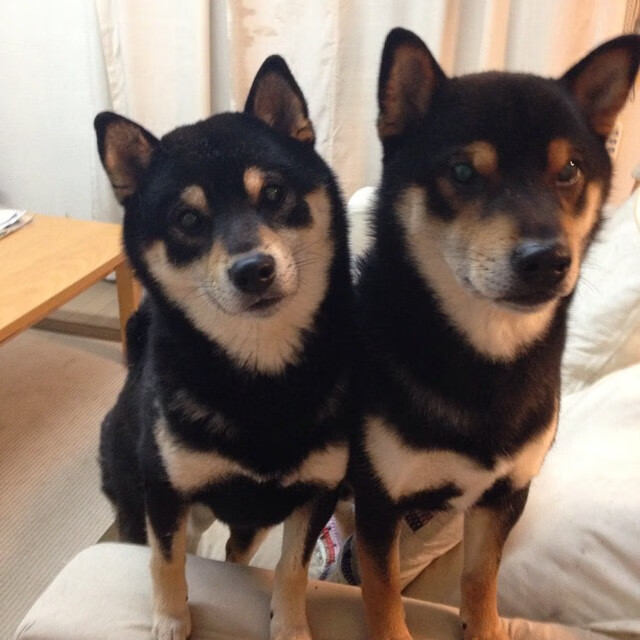 九游(jiuyou)官方网站-【攻守平衡】奥沙利文的比赛哲学：不断创新的战术布局，奥沙利文top gear