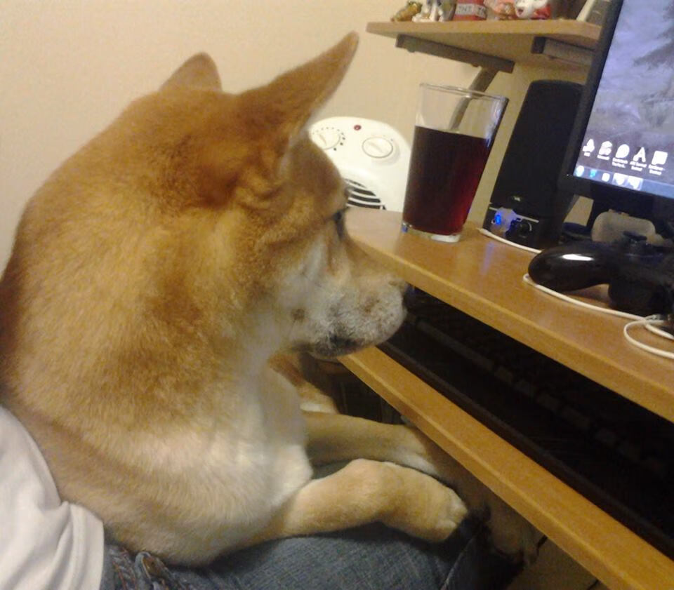 城市篮球联合会推动区域篮球运动提档升级,打造品牌赛事,全国城市篮球邀请赛