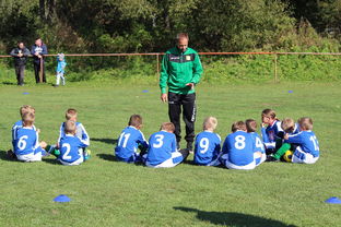 九游网-南非混合泳团队战术引热议，南非的混合农业